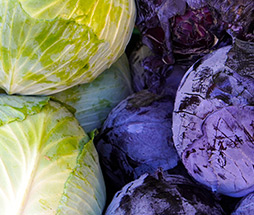 Green & Red Cabbage