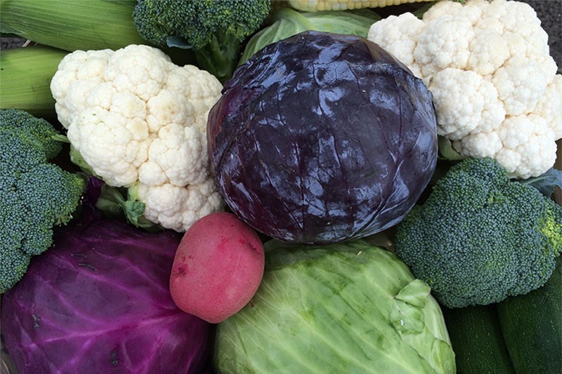 Haskett Growers (2014) Ltd.