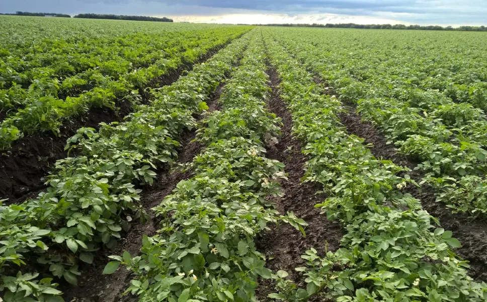 Peak of the Market welcomes Sebastian Marin, National Account Manager