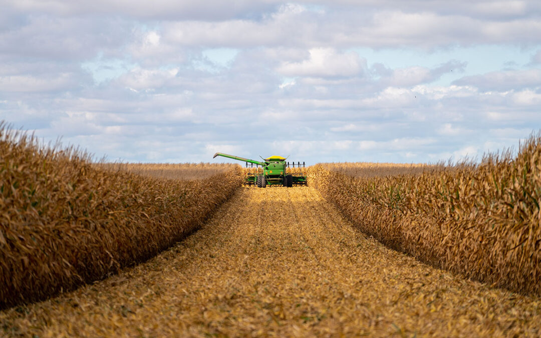 Grocery Business: Leadership Spotlight on Pamela Kolochuk, CEO of Peak of the Market